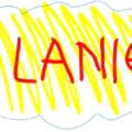 LaNiie-laniie_store