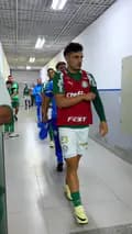 SE Palmeiras-palmeiras