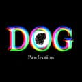 dog_pawfection-dog_pawfection5