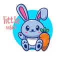 LittleRabbitBabyShop-littlerabbitbabyshop