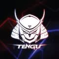 Tengu Gaming Gears-tengugaminggears