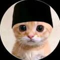 pp kucing ramadhan-mhr_biboy