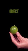 Object-the_object