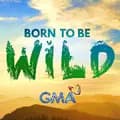 Born to Be Wild-borntobewild