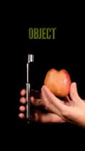 Object-the_object