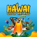 Hawai Group-hawaigroup