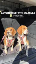 Kiki and Koko 🐾 | Beagles-beagleskiko