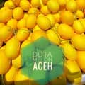 Duta Melon Aceh 🍈-duta_melonaceh