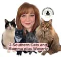 3 Southern Cats and Momma-3southerncats.and.momma