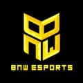 BNW Esports-bnwesports