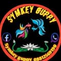 symkey guppy farm-symkeyguppy2