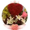 Rosa flowers x🌹🦅-rosaflowersgifts