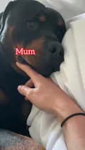 Bears mum 💔-bears_mum_the_mb