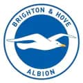 Brighton & Hove Albion FC-officialbhafc