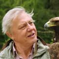 David Attenborough-attenboroughcomedy