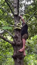 Borneo Forester-borneoforester