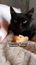BlackVelvet-kitty.theduchess