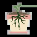 Rooted Healing Plants-rootedhealingplants