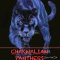 Chakwalian Panther 🔥-chakwalianpanthers